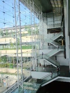 京都市右京中央図書館 恋と仕事と更年期障害