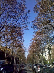 フォレスタ ハイキングさ あべじゃ