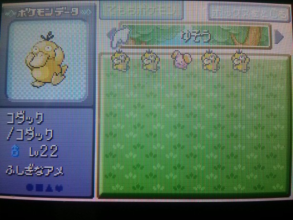 エメラルド ポケモン アイテム増殖 大人でもポケモン好き