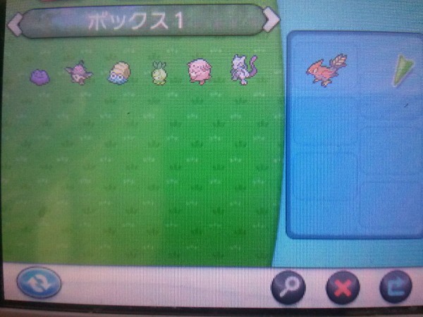 Sv法 Keysav ダウンロード版用 ｘｙ 色違い 大人でもポケモン好き