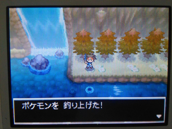 ギャラドス 色違い Lv1 自然保護区 野生乱数 Bw2 大人でもポケモン好き