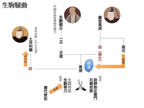 高い信頼 厚い信頼 讃岐生駒藩NO3 生駒騒動の背景に土地問題あり？ : 瀬戸の島から 日本史
