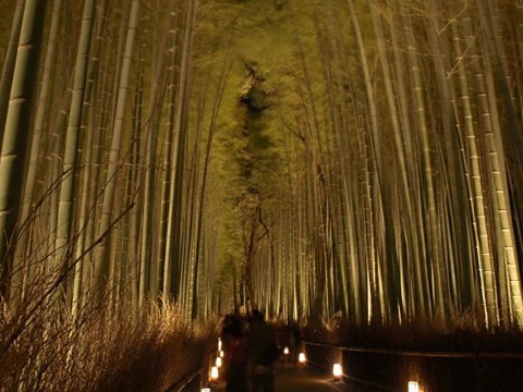 嵐山 花灯路 関西近畿おすすめバイクツーリングコース スポット ナナハンパパの関西押しがけツーリング紀行文