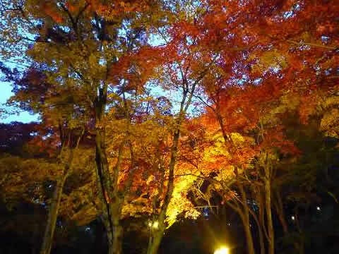 笠置山もみじ公園 関西近畿おすすめバイクツーリングコース スポット ナナハンパパの関西押しがけツーリング紀行文
