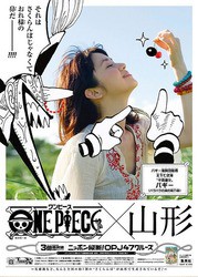 47都道府県の新聞にワンピースキャラクターが登場！ ニッポン縦断
