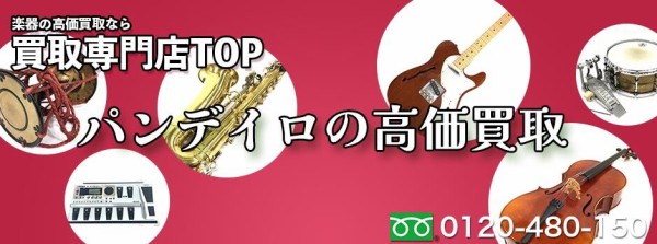 LPパンデイロ10インチ 本革 状態良 （LP ( ラテンパーカッション