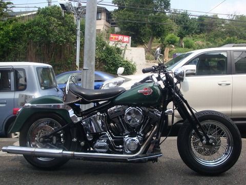74スプリンガー : トッポジョージの日常