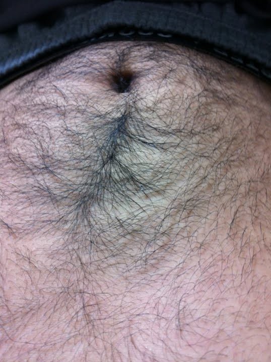 閲覧注意 おれの腹毛ヤバイｗｗｗｗｗｗ トラのメ