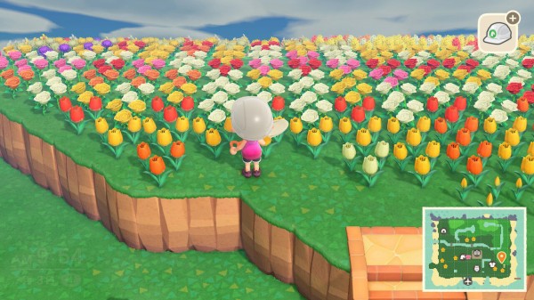 あつまれどうぶつの森 島滞在日記６月 ７月 前編 とらつぐみのつぶやき