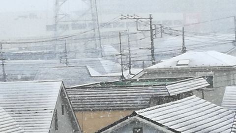 名残の雪 ひこじいの遊んで暮らす生活 名残の雪 ひこじいの遊んで暮らす生活