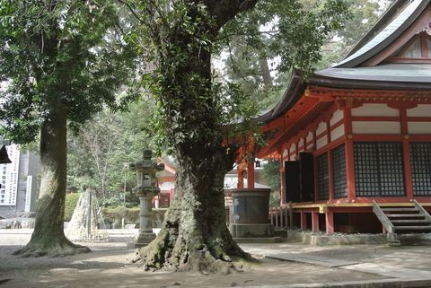 青春18きっぷで巡る鹿島神宮 香取神宮参拝の旅 おトクなきっぷで鉄旅ライフ 低山ハイク