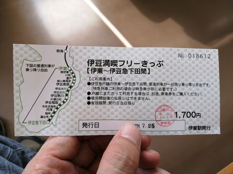 伊東線・伊豆急行に乗る日帰り旅 : 鉄旅＆登山ライフ