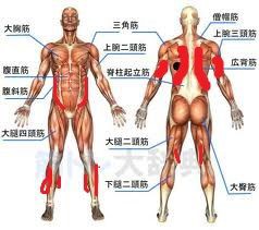 ゴルフ筋肉痛 中国嫁 と ないとれいん と ひとりぼっちごるふ