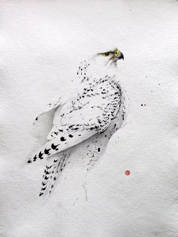 書道用の筆が描くリアルな鳥 スウェーデン水彩画家の鳥の絵がスゴイ とりまとめ