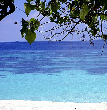 モルディブ アンサナ リゾート とーるブロ