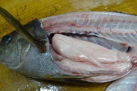 真子と白子 土佐料理 旬の鰹がゆく