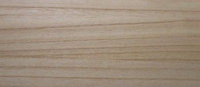 桐（キリ） : 土佐料理 旬の鰹がゆく！