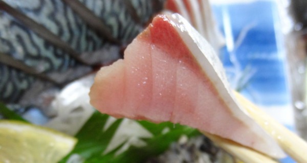 天然鰤の品質 土佐料理 旬の鰹がゆく