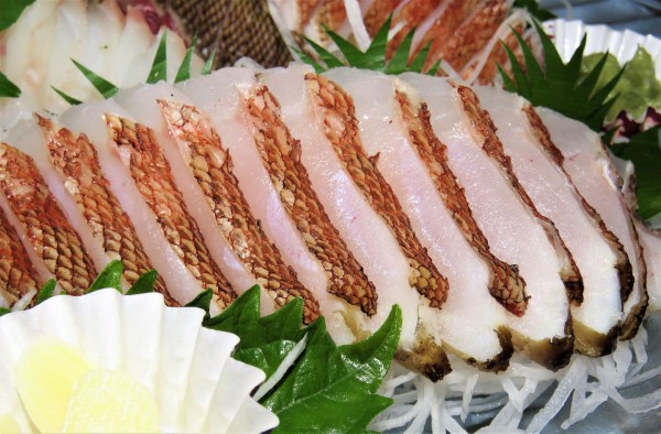 ウッカリカサゴ料理 土佐料理 旬の鰹がゆく