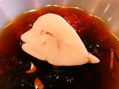 岸壁の春メジナ釣り 土佐料理 旬の鰹がゆく