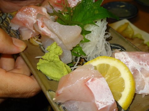 キジハタ 土佐料理 旬の鰹がゆく キジハタ 土佐料理 旬の鰹がゆく
