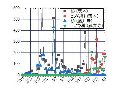 コロナ の主因は ヒノキ科の花粉症か 大阪で 3 24から大量に花粉が飛散 Toshi Tomieのブログ