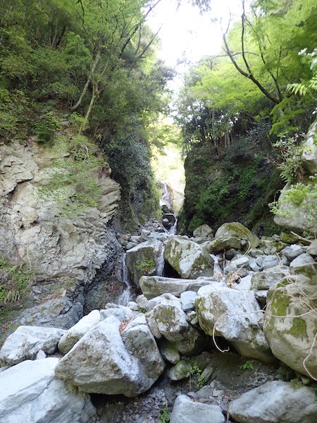 久し振りの安倍奥 白ん沢大滝 山やへの扉