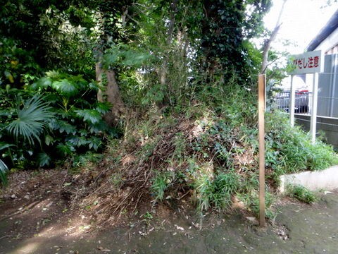 下野牧の野馬土手を探して2日間、その成果は（涙） : 東葛人的道楽