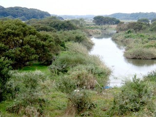 菅生沼を訪ねました 近くにこんな豊かな自然があったとは 東葛人的道楽