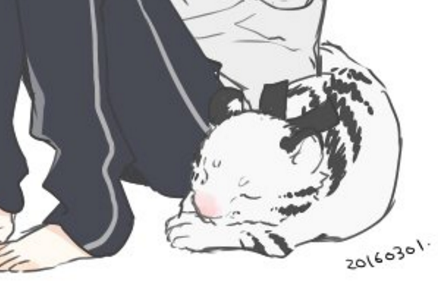 刀剣乱舞 イラストレーターのすめらぎ琥珀さんが 五虎退 のイラストを描いてくれたぞおおお とうらぶ速報 刀剣乱舞まとめブログ