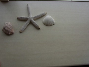 石井秀明氏とセッション : wight rock babys GU.&VO トウスケ