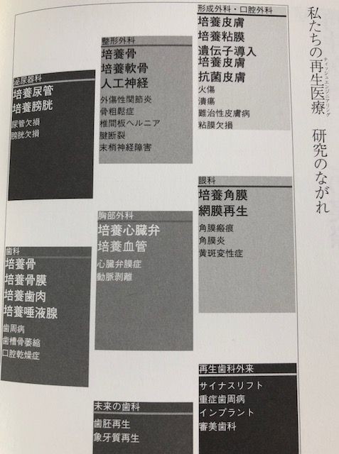 当店限定販売 お供え お供え物 線香立て 線香 横 置き 花摘 寝かせる線香皿 有田焼 大 色唐草 32xi0072 9 Materialworldblog Com