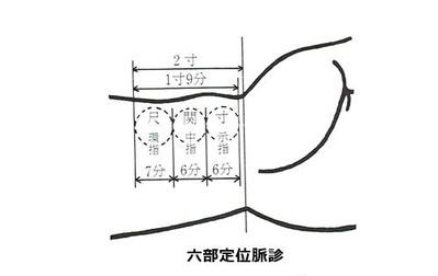 脈診 ３ 中医の花を咲かせる