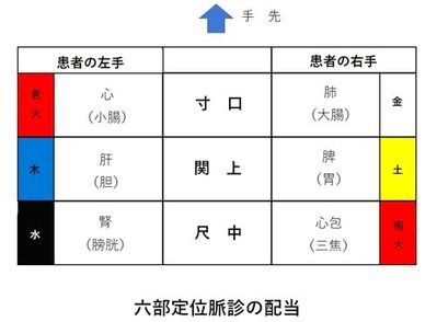脈診 ３ 中医の花を咲かせる