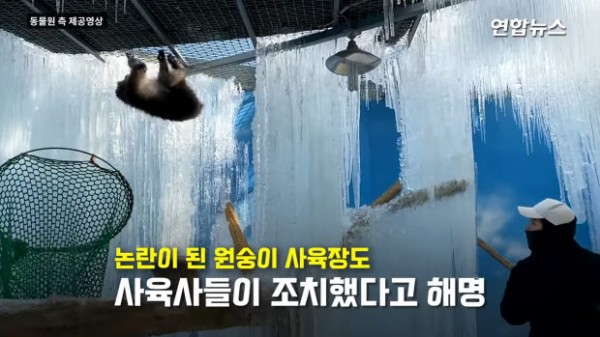 韓国 動物園 9000 韓国 動物園 歌手 Cesargamblin