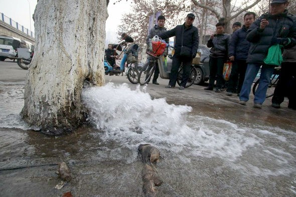 中国 木から水が吹き出す 画像ネーター