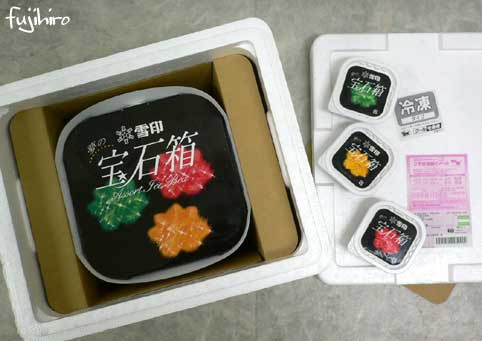 伝説のアイス 宝石箱 復刻版 とよだのにっき