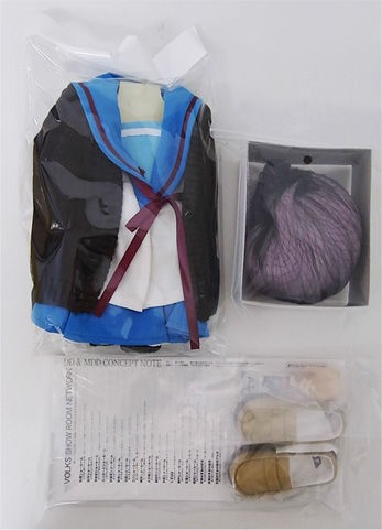 DD 涼宮ハルヒの憂鬱 長門有希 お迎え致しました! : ドールの DD 涼宮ハルヒの憂鬱 長門有希 お迎え致しました! : ドールの