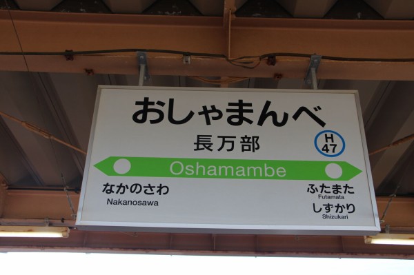 初秋の北海道【1日目】特急「ニセコ号」 : 観光列車アーカイブ