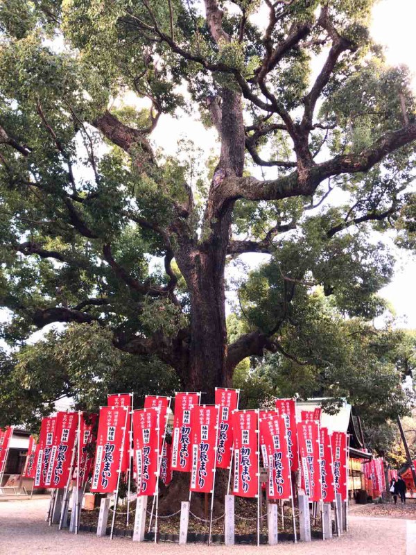 住吉大社後編 商売繁盛の神様 初辰さんと子授けの神様 種貸社 勝手に堺市広報大使