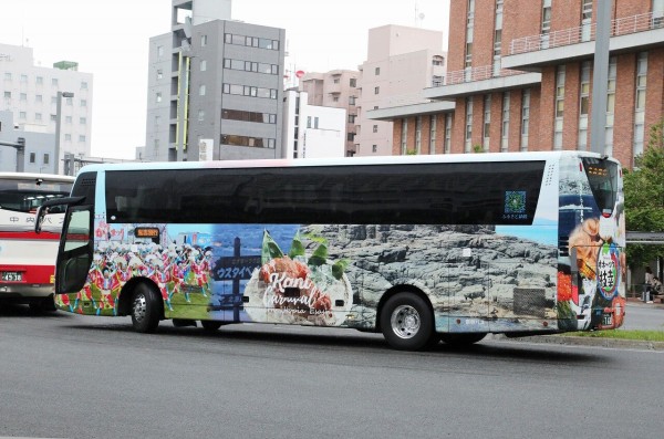 新しいパス バイク ヘッドライト カウル アセンブリ に適合するニンジャ に適合