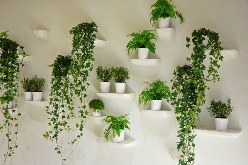 壁に植物を飾る Vitra コルニッシュ 広島市の北欧インテリアショップ 広島の北欧インテリア スラップモブラー