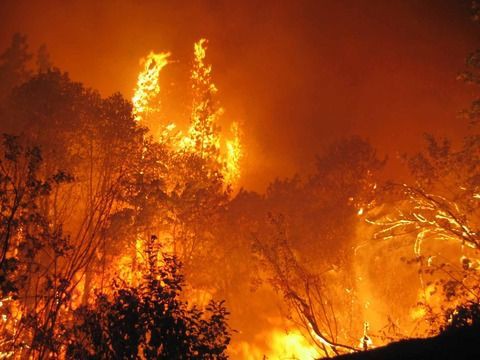 岡谷 山火事 急上昇ワード2chまとめブログ速報