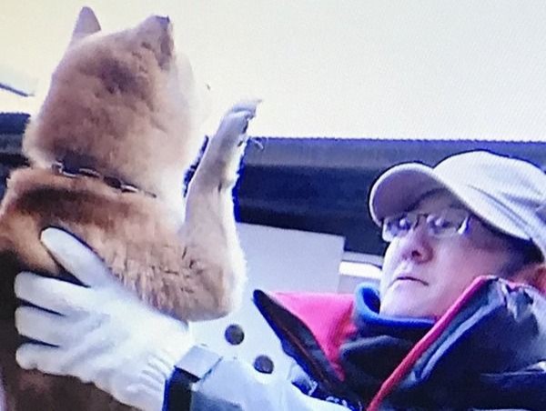 まめ蔵 急上昇ワード2chまとめブログ速報