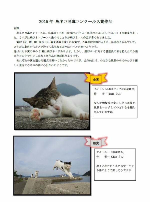 佐柳島の猫たち 香川 津田千枝 ブログ