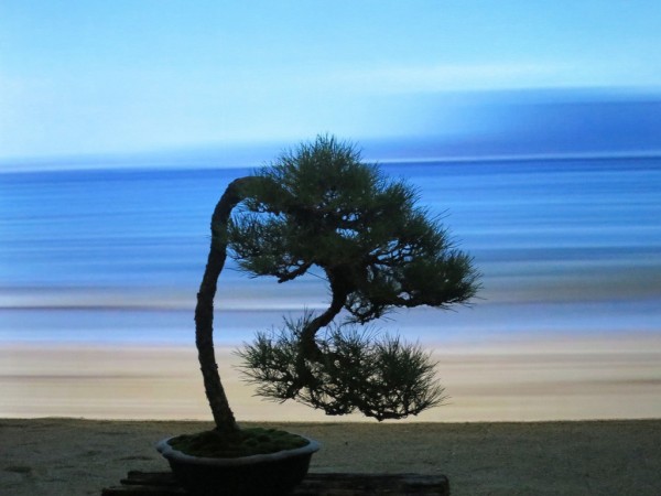 瀬戸内国際芸術祭2016 「男木島・女木島」＠香川 : Chie Stories by