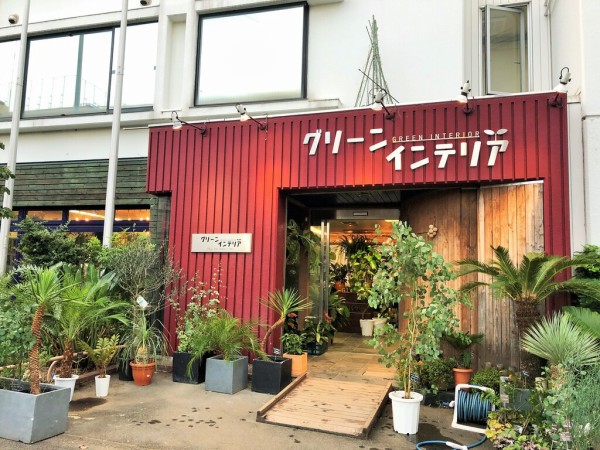 閉店 グリーン インテリア 観葉植物専門店 東京 江戸川区小岩 津田千枝 ブログ