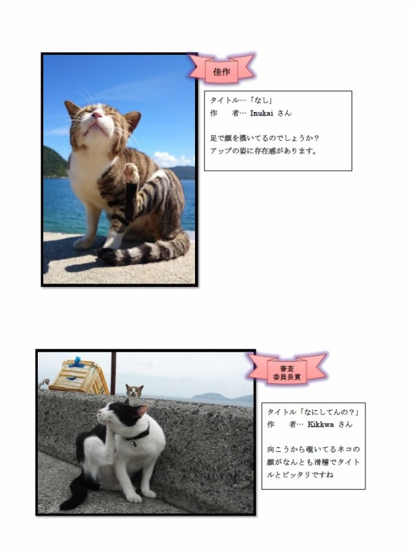 佐柳島の猫たち 香川 津田千枝 ブログ