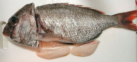 自炊メモ 真鯛の白子 潮汁ほか 春は築地で朝ごはん