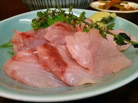 かとう 黒ムツ刺身 カワハギ煮 番外 シェ ノブ 牡蠣グラタン 春は築地で朝ごはん